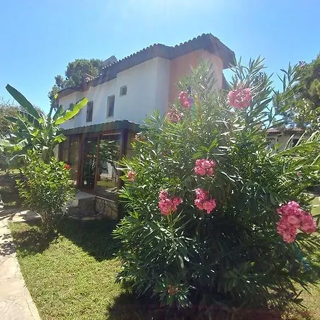 Begonville Villa *